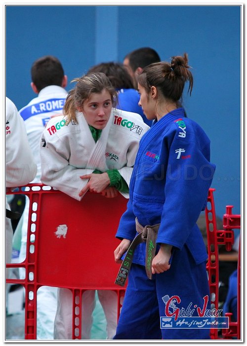 BRONCES FFS21 2013 0002